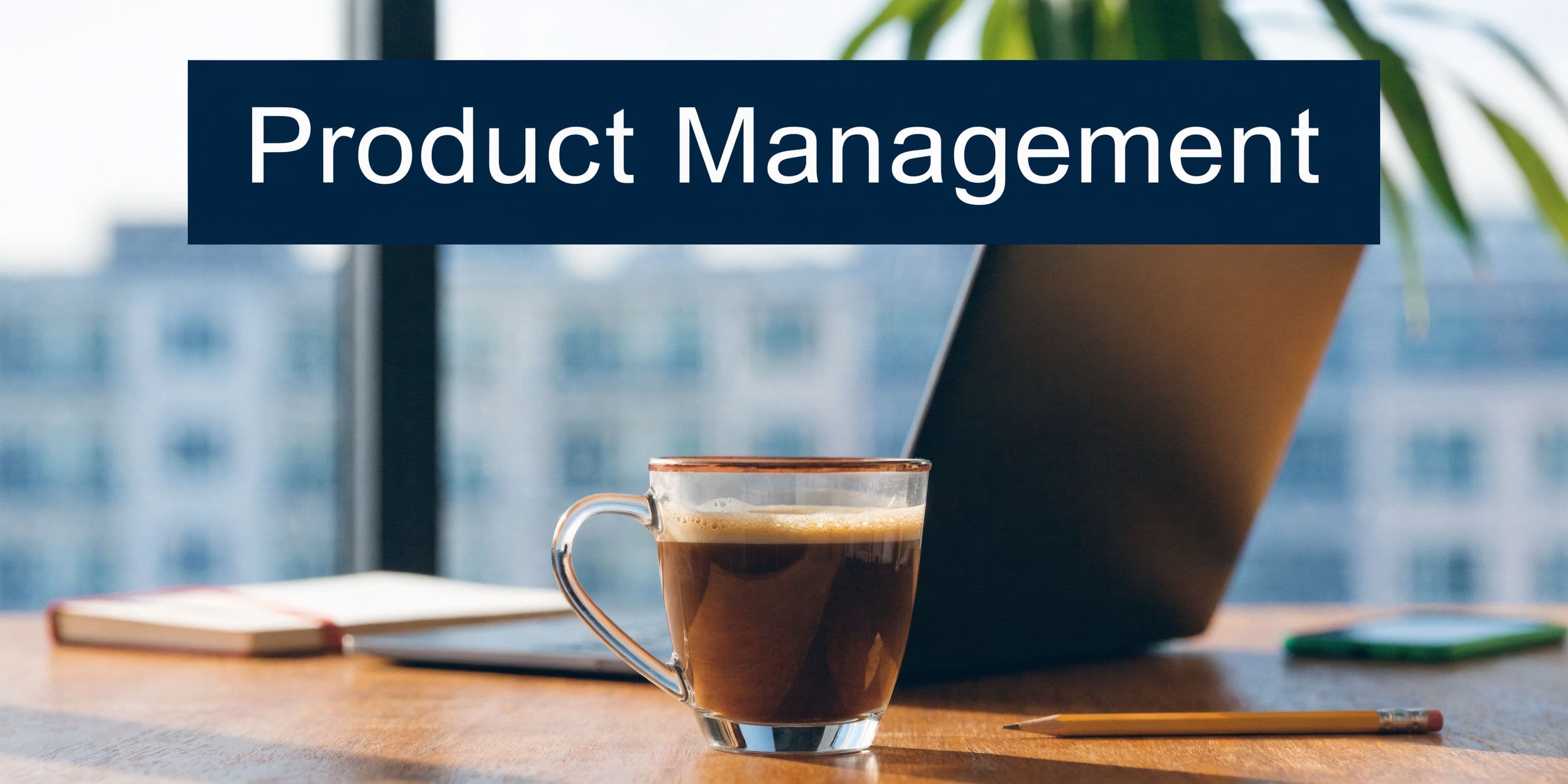 A Career in Product Management Your 2026 Guide