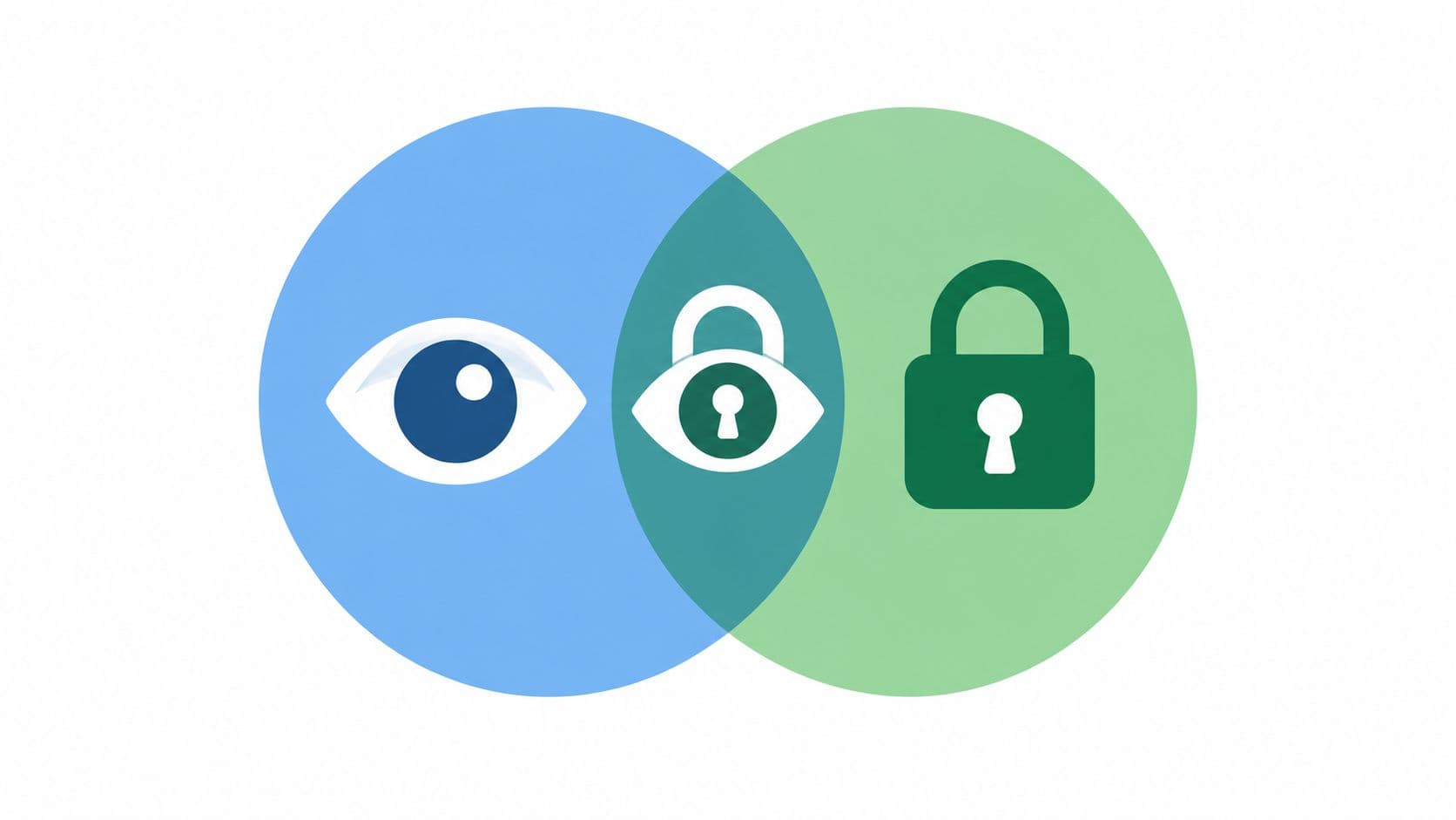 Data Privacy vs Data Security: Key Differences